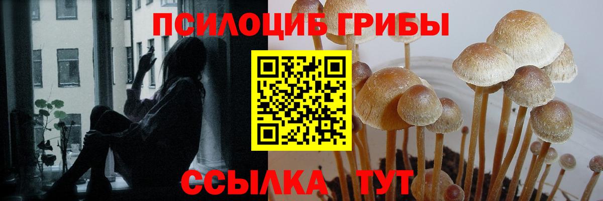 Губаха  Псилоцибиновые грибы MAGIC MUSHROOMS  Галлюциногенные грибы прущие грибы  Вход с VPN 